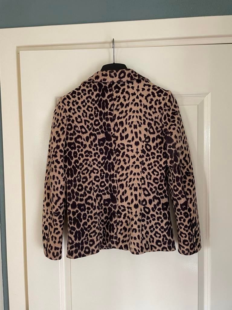 My Jewellery Blazer Dames Panterprint Maat XS, Ophalen of Verzenden, Zo goed als nieuw, Maat 34 (XS) of kleiner, Bruin