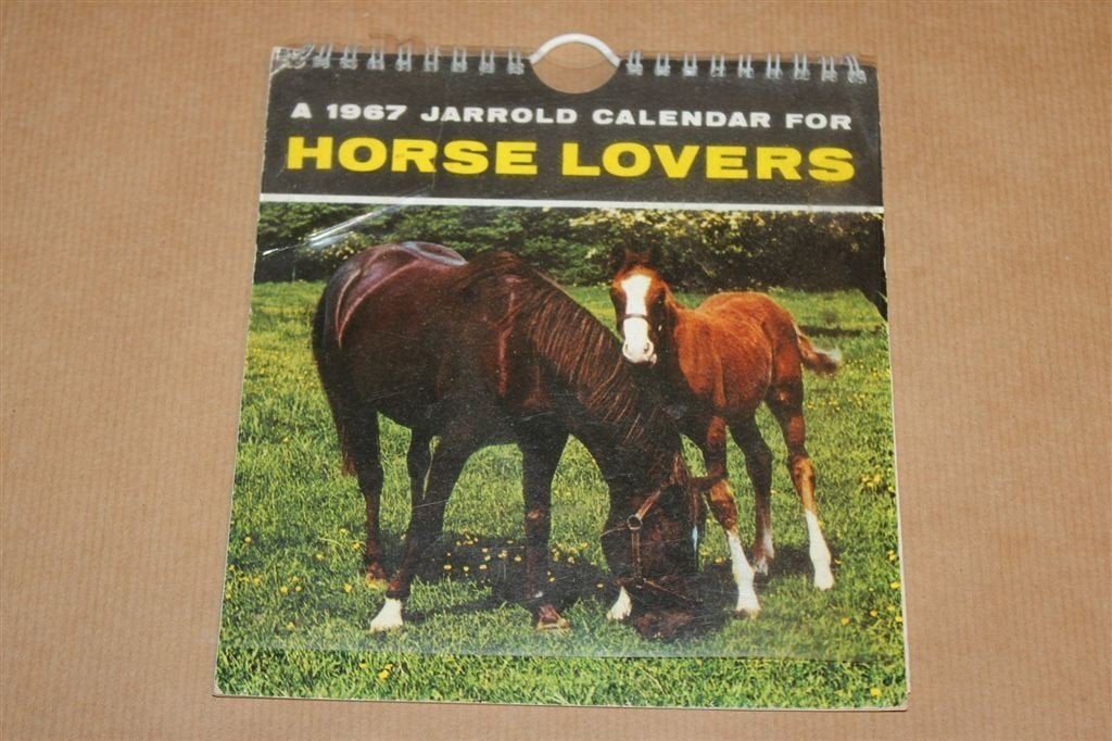Horse Lovers Calendar 1967 — Vintage Paardenkalender, Boeken, Dieren en Huisdieren, Ophalen of Verzenden, Gelezen, Katten