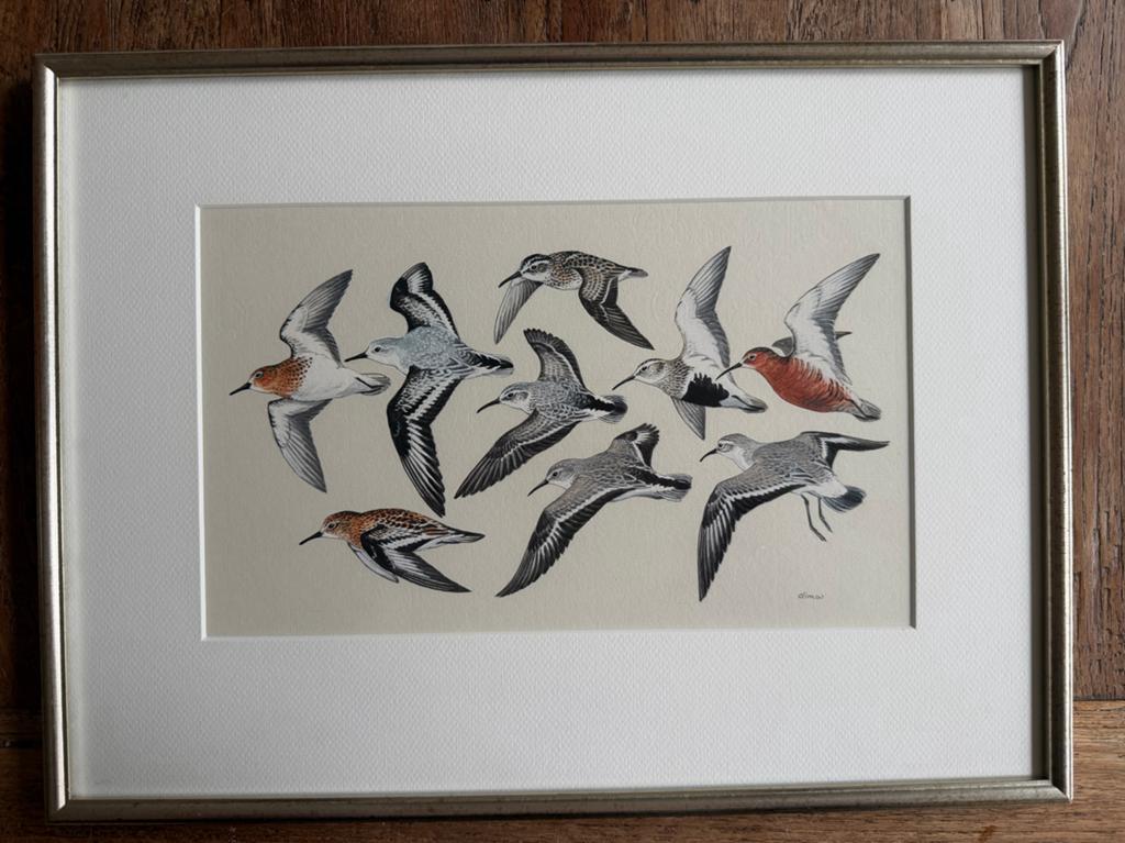 Ingelijste kunstprint van strandlopers - Gesigneerd, Ophalen