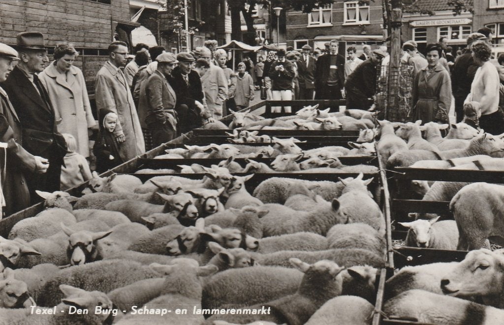 Texel    Den Burg, Ophalen of Verzenden, 1940 tot 1960, Gelopen, Waddeneilanden