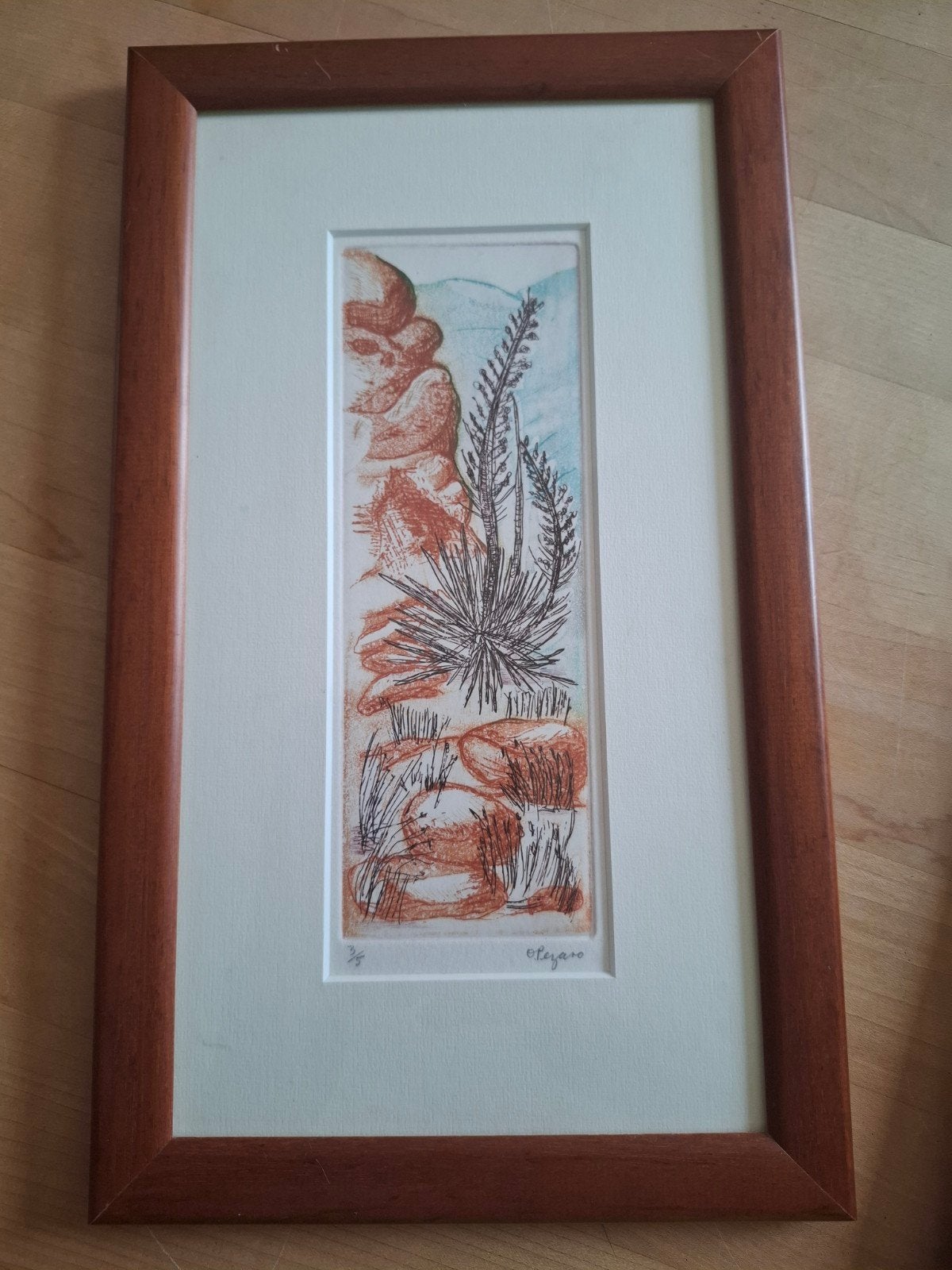 Kleurets Oki Pezaro (1933) - Bloeiende vetplanten, Ophalen of Verzenden