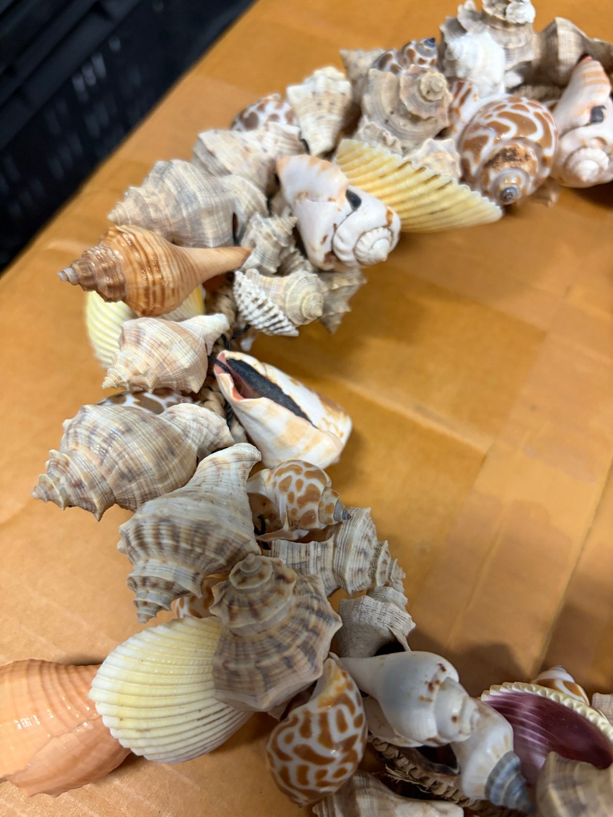 Decoratieve Schelpenkrans - Uniek Handgemaakt Stuk, Ophalen of Verzenden, Nieuw