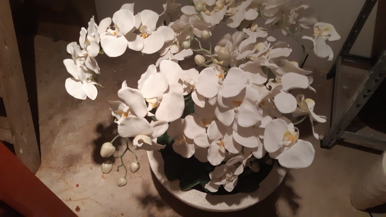 kunst orchideeën. met pot., Ophalen, Halfschaduw, Minder dan 100 cm