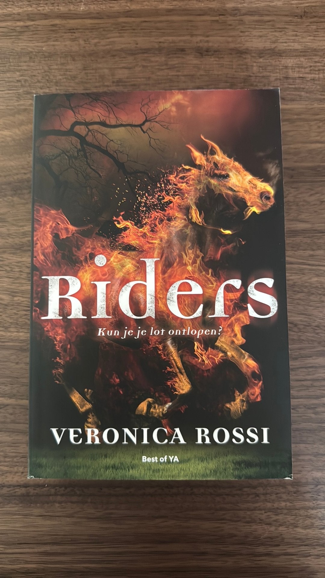 Veronica Rossi - Riders, Ophalen of Verzenden, Zo goed als nieuw, Veronica Rossi