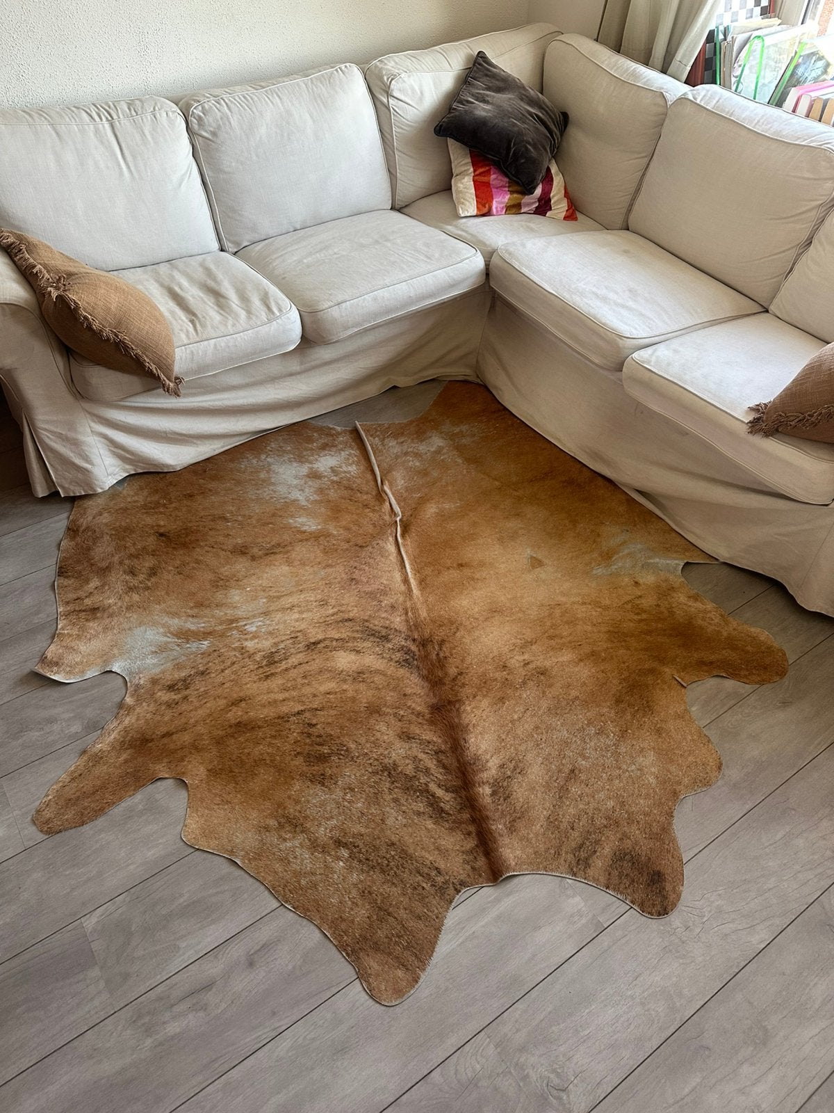 Koeienkleed, Ophalen, Gebruikt, Rechthoekig, 200 cm of meer