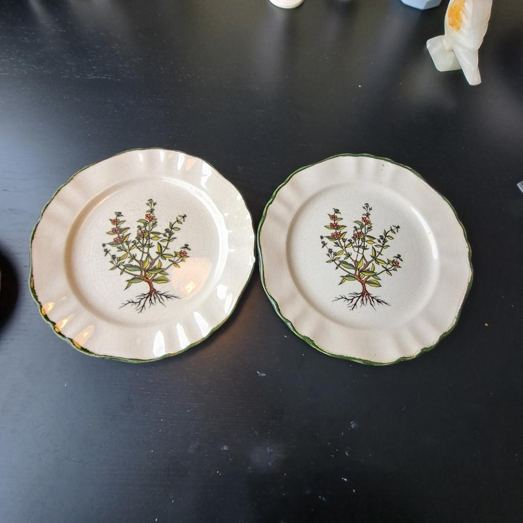 Twee borden Pagnossin Richard Ginori Group (23,5 cm), Gebruikt, Ophalen of Verzenden, Bord(en), Overige stijlen