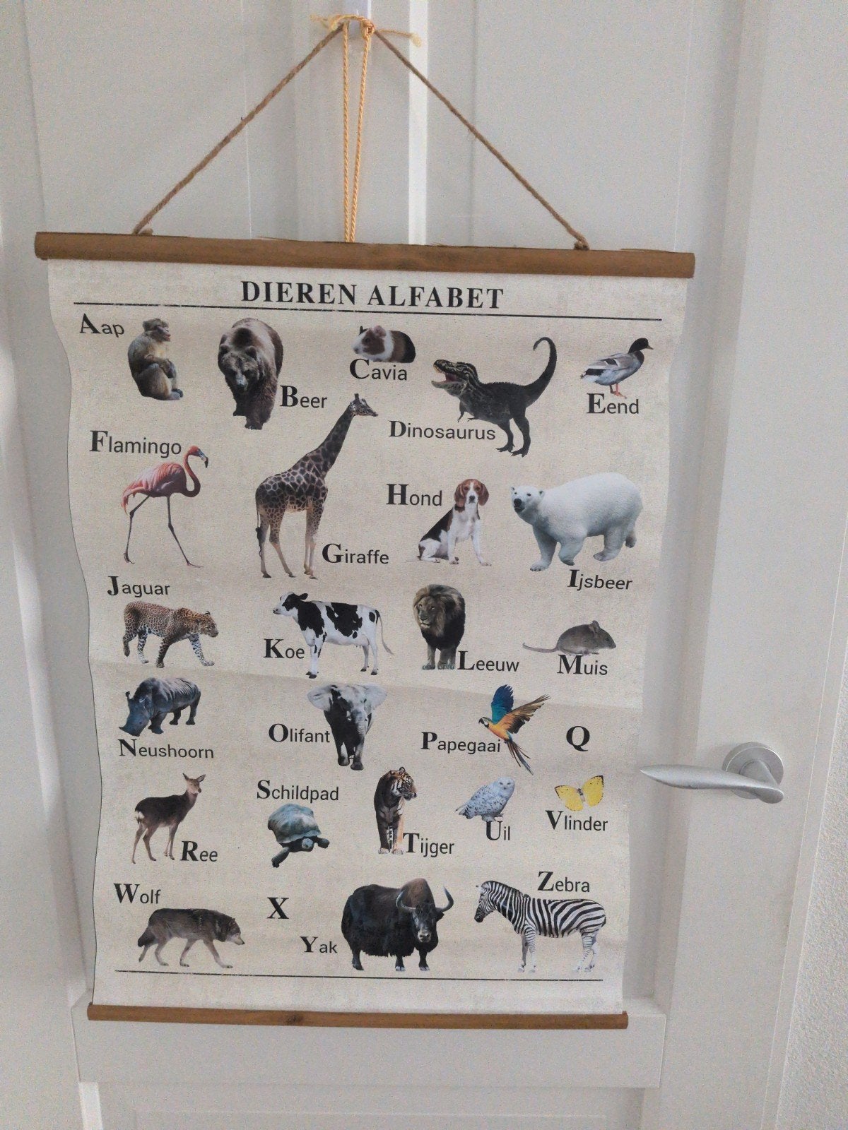 te koop: dieren alfabet ophangplaat, Antiek en Kunst, Ophalen of Verzenden, Natuur en Biologie