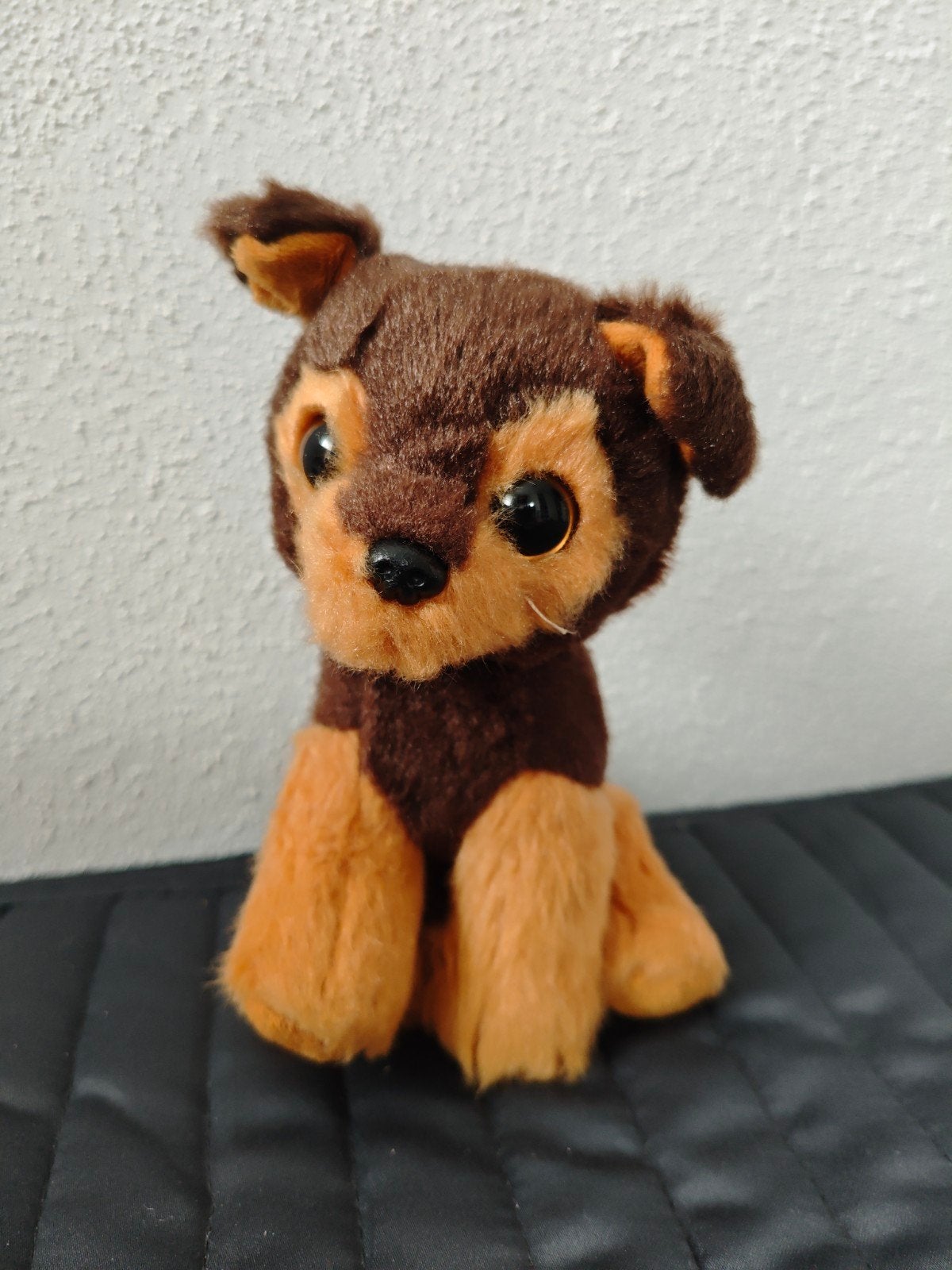Ty Beanie Boo Tucker Hond, Ophalen, Hond, Meerkleurig, Klein (minder dan 20 cm)