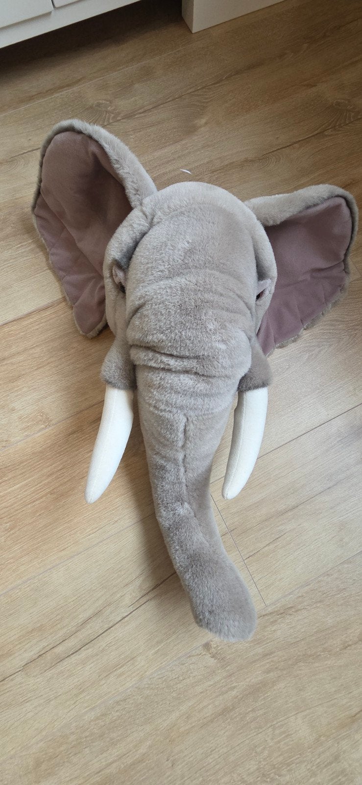 dieren koppen, Ophalen, Wanddecoratie