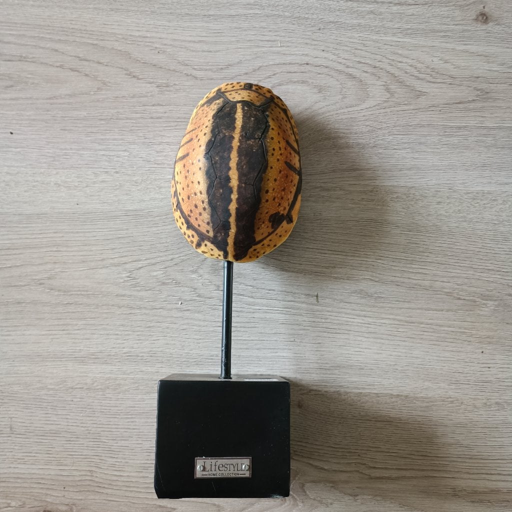mooie schild schildpad nep deco op staander life style, Verzamelen, Ophalen of Verzenden, Nieuw, Overige typen