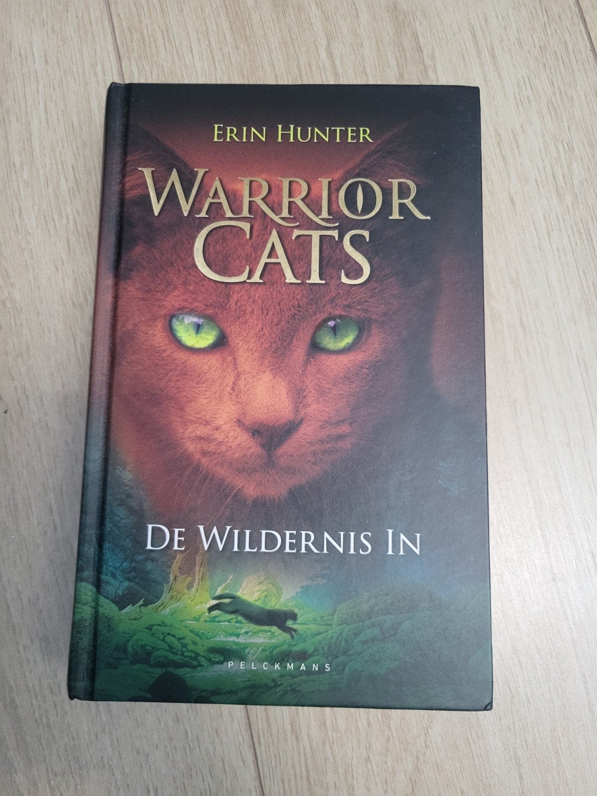 Warrior Cats: De Wildernis In - Serie 1, Boek 1, Ophalen of Verzenden