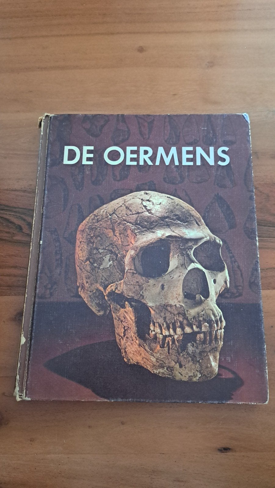 De Oermens - Boek over menselijke evolutie, Boeken, Ophalen of Verzenden, 20e eeuw of later, Gelezen, Onbekend