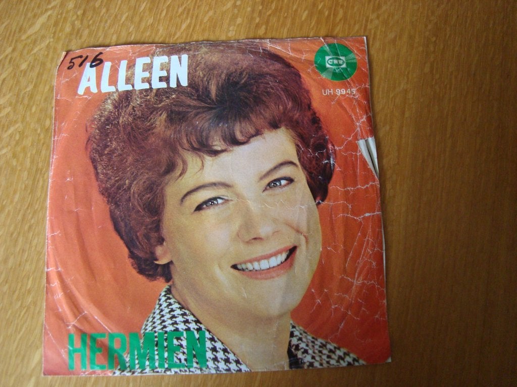 Gert en hermien -jij alleen, zo zal het altijd zijn, Ophalen of Verzenden, Zo goed als nieuw, Nederlandstalig