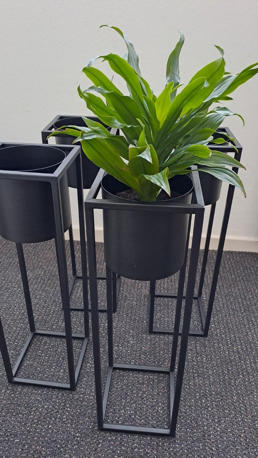 Decoratieve staande plantenbakken.   kleur zwart, Ophalen, Zwart, Overige materialen, Zo goed als nieuw