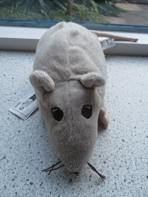 Dikke Rat van IKEA Gosig Ratta grijs grijze muis velours, Muis, Ophalen of Verzenden, Zo goed als nieuw, Middelgroot (20 tot 80 cm)