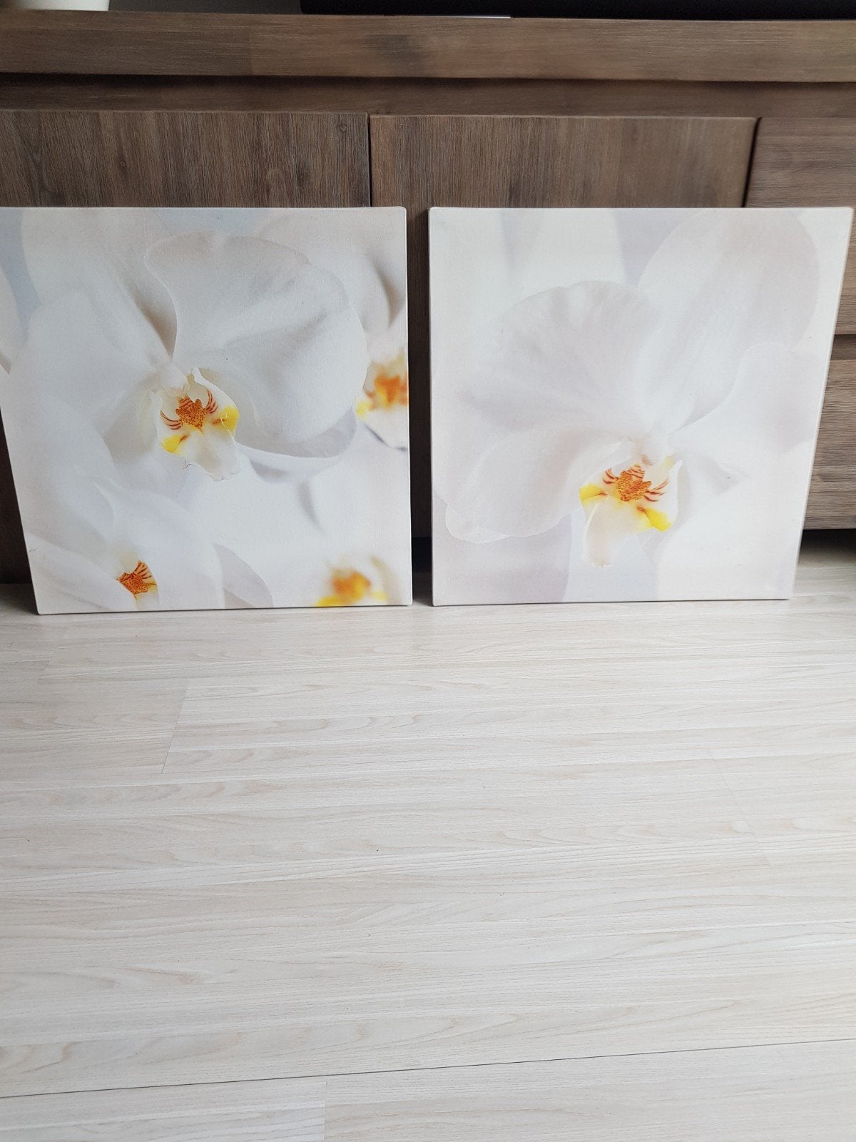 Set van 2 mooie grote schilderijen, nieuw., Ophalen, 50 – 75, Nieuw, Schilderij