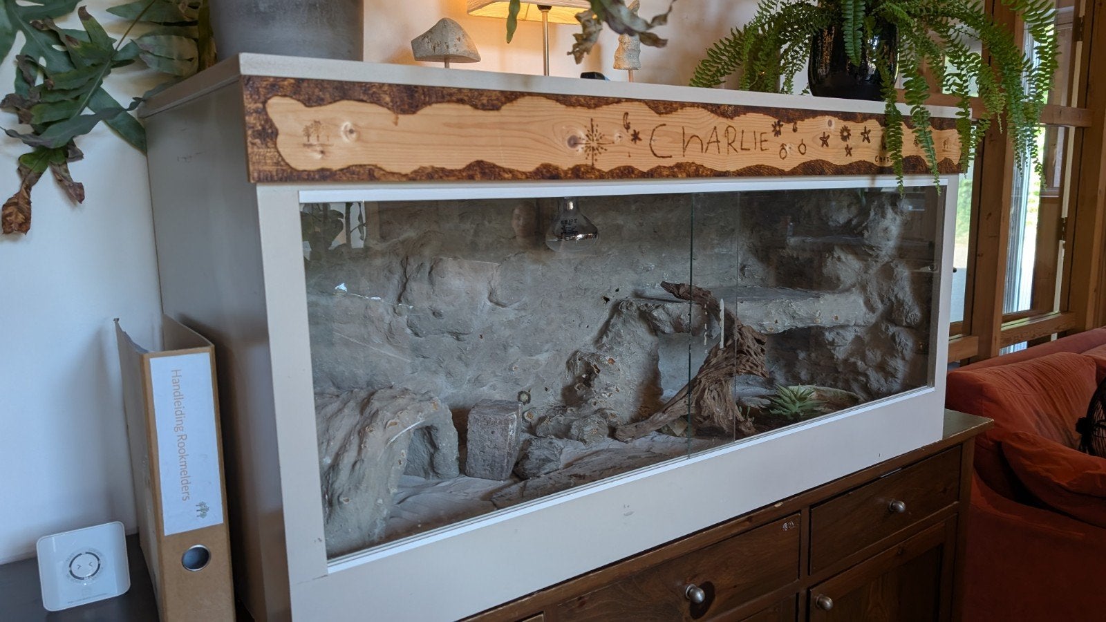 Terrarium reptiel, Ophalen, 75 tot 110 cm, Kooi, Minder dan 60 cm