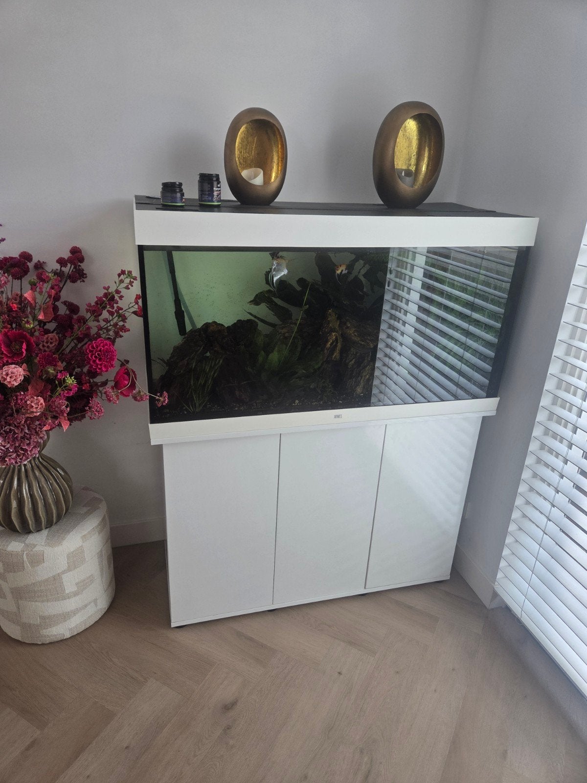 aquarium, Ophalen, Gebruikt, Inclusief deksel, Gevuld zoetwateraquarium