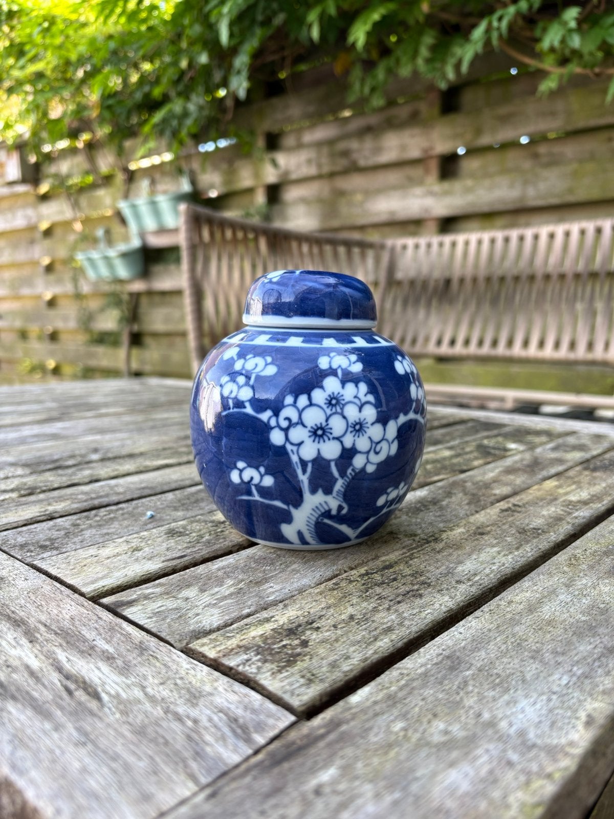Chinese Gemberpot met Deksel - Blauw-Wit Prunus Decor, Ophalen of Verzenden