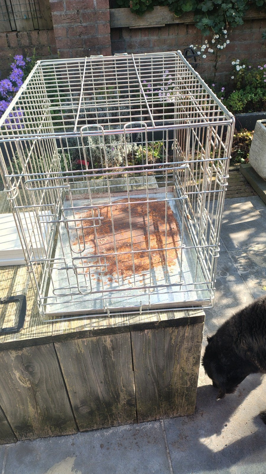 Gratis: bench voor kleine hond/pup, Ophalen of Verzenden, Gebruikt, Minder dan 75 cm, Minder dan 65 cm