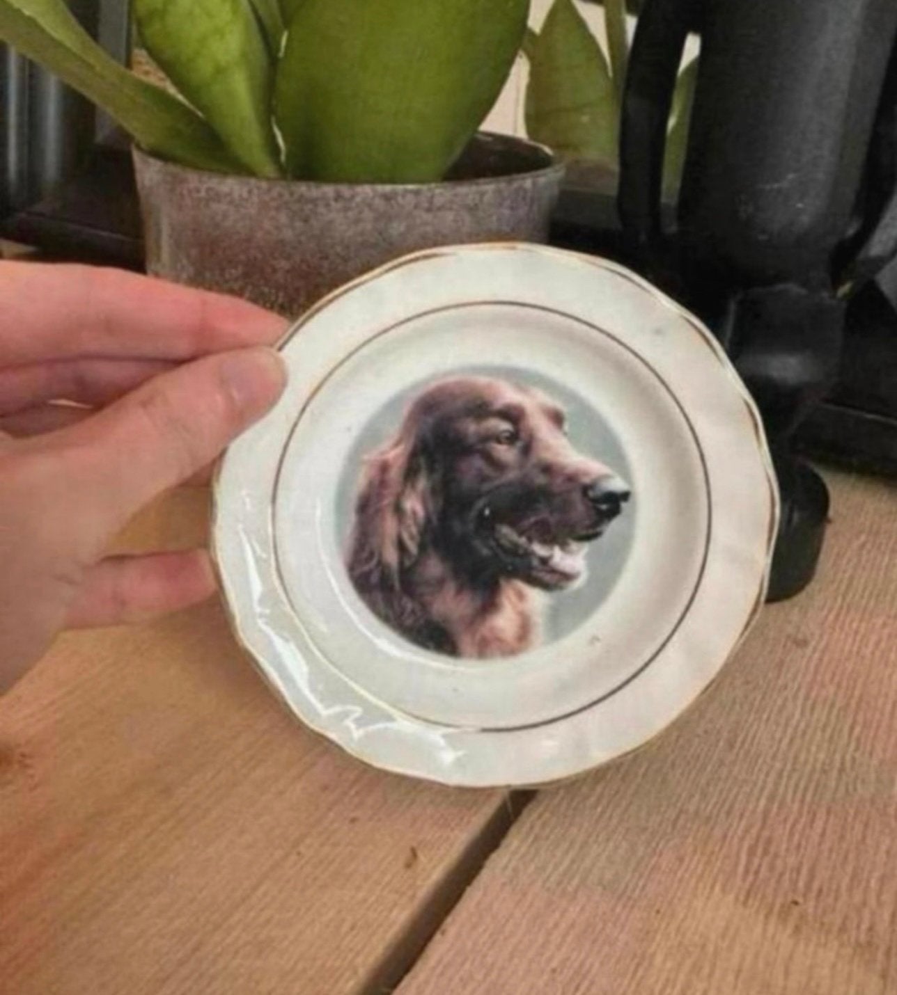 Schoteltje van faithful friends met een ierse setter, Dieren en Toebehoren, Ophalen of Verzenden