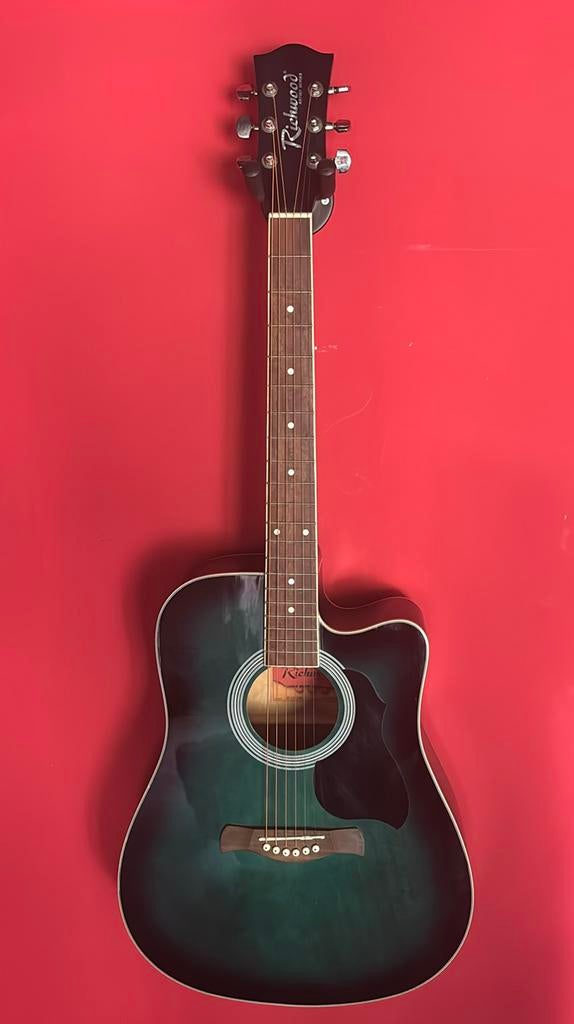 Richwood Artist Series, Ophalen, Zo goed als nieuw, Western- of Steelstringgitaar
