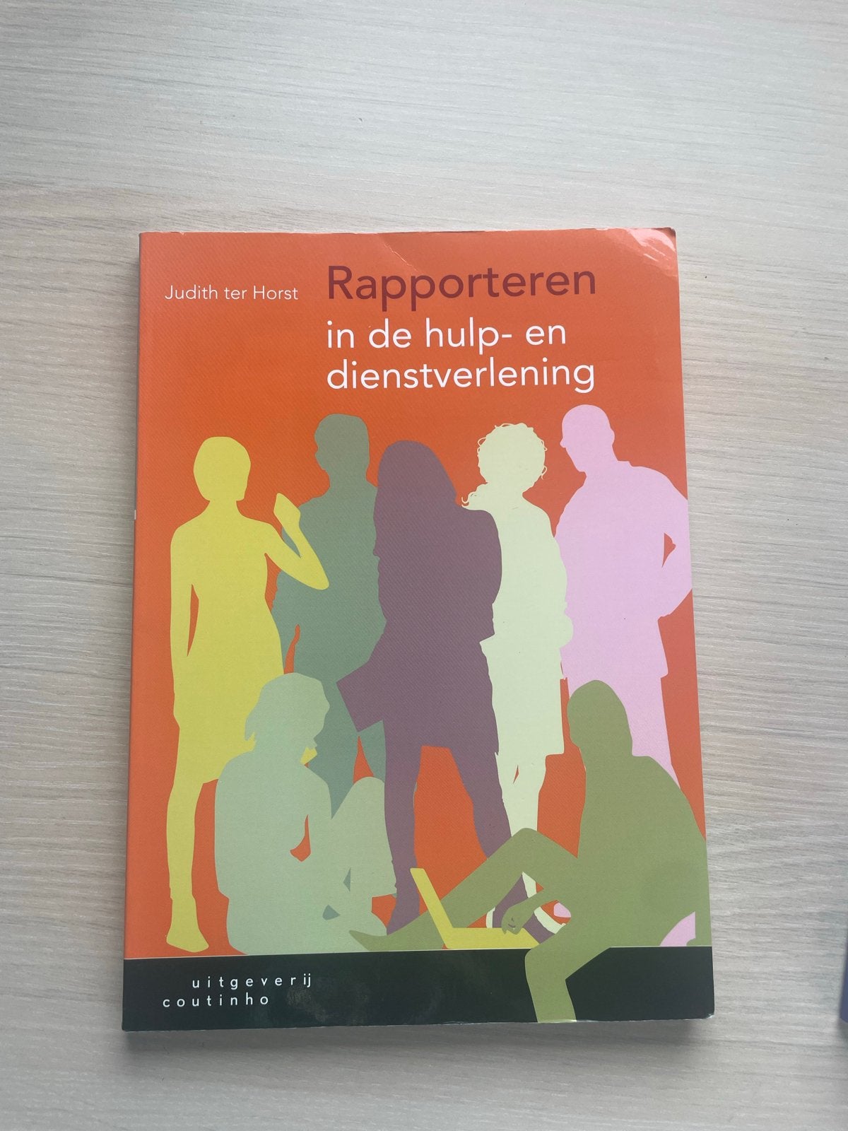 Rapporteren in de hulp- en dienstverlening - Judith ter Hors, Ophalen of Verzenden, Gamma, Zo goed als nieuw, HBO