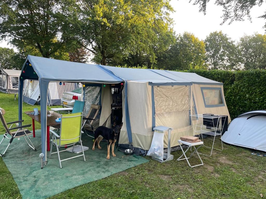 Tweepersoons vouwwagen Roadmaster, Ophalen of Verzenden, Tot en met 2
