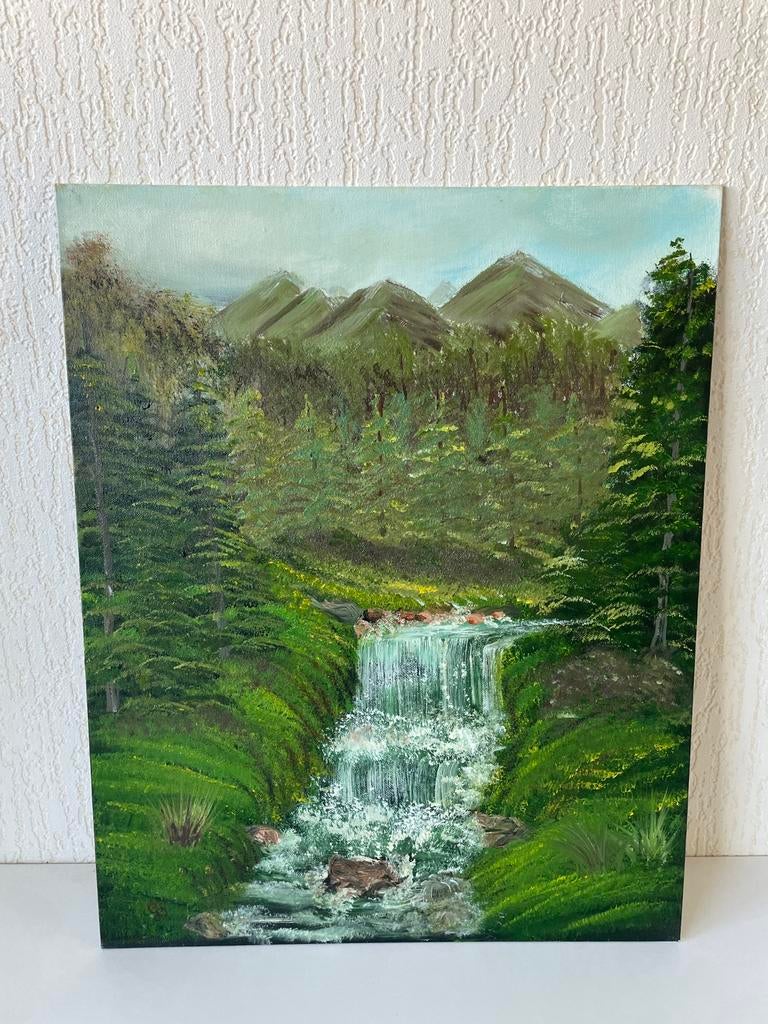 Schilderij Het Watervalletje Gerda Slingerland, Ophalen