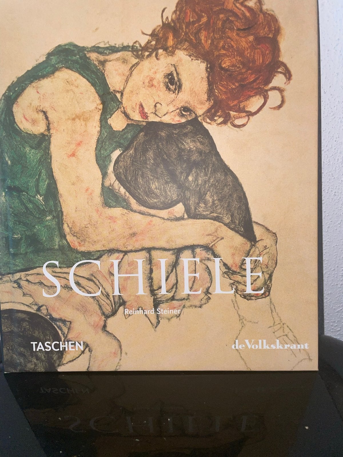 Schiele - Reinhard Steiner (Taschen/de Volkskrant), Boeken, Kunst en Cultuur | Beeldend, Ophalen of Verzenden, Nieuw, Schilder- en Tekenkunst