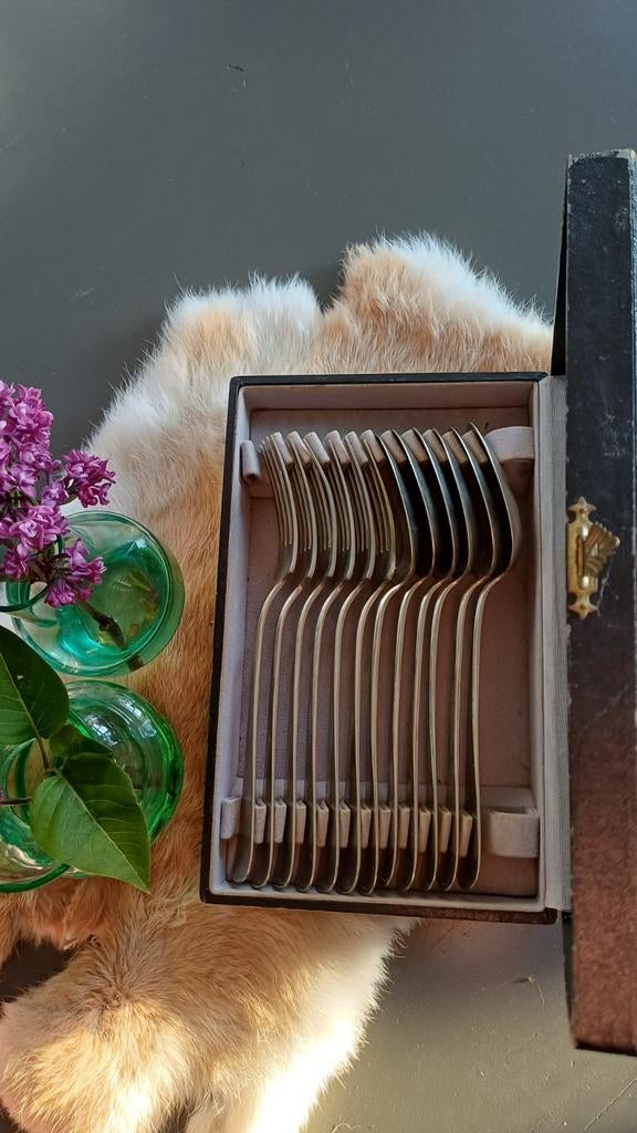 Gero Alpaca Verzilverde Bestekset - 12 Delen in Cassette, Ophalen of Verzenden