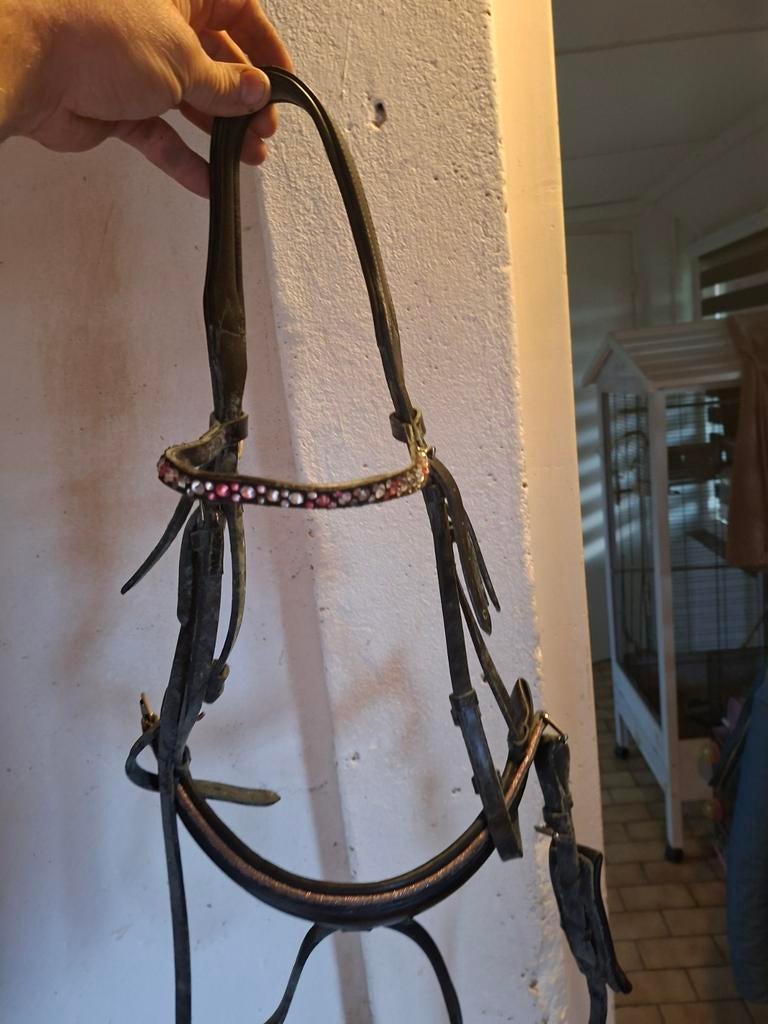 Te koop diverse hoofdstellen cob, Dieren en Toebehoren, Ophalen of Verzenden, Nieuw, Overige soorten