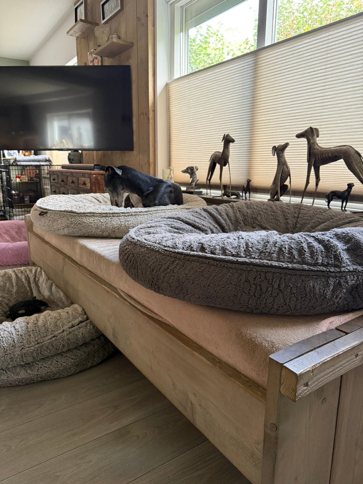 Steigerhouten hondenbed bed hond, Dieren en Toebehoren, Ophalen, Gebruikt