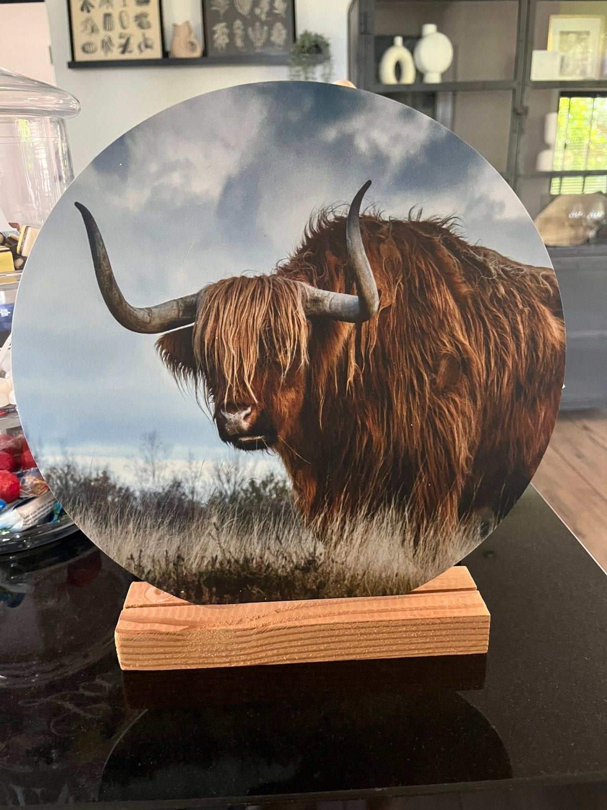 Cirkel bizon ter decoratie, Huis en Inrichting, Woonaccessoires | Overige, Ophalen of Verzenden, Zo goed als nieuw, Kunststof