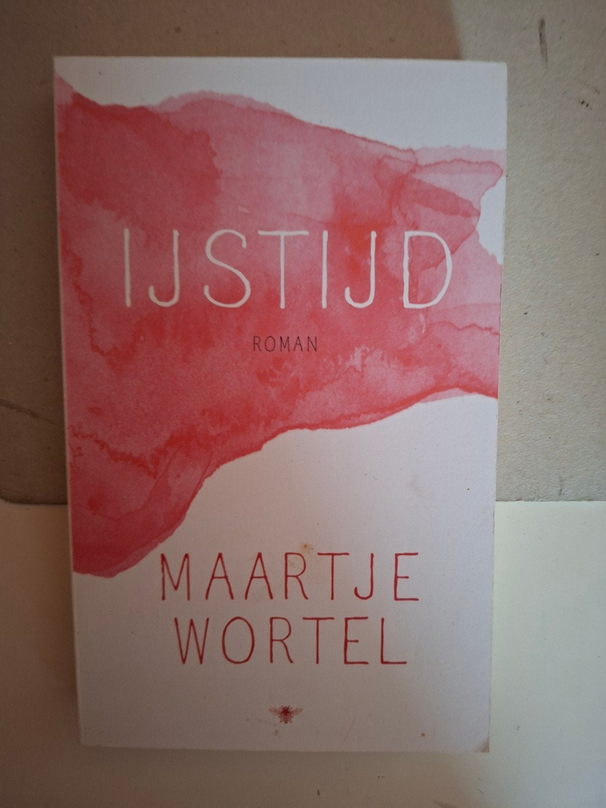 Maartje Wortel - IJstijd, Verzenden, Zo goed als nieuw, Maartje Wortel
