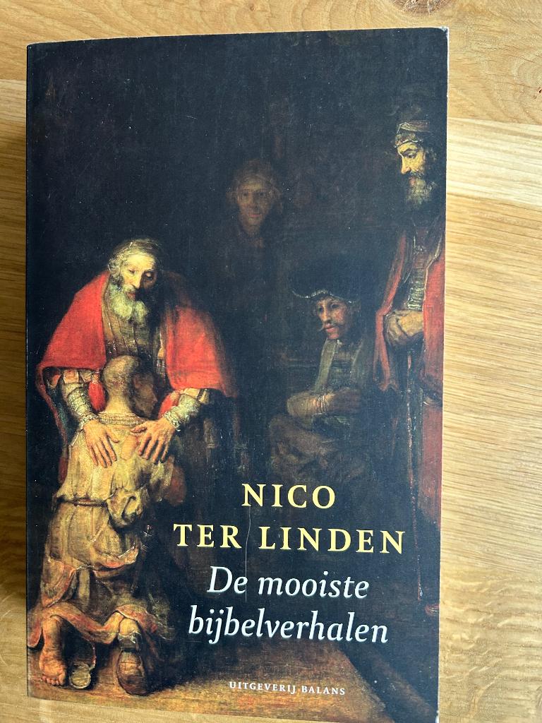 De mooiste bijbelverhalen - Nico ter Linden, Boeken, Nico ter Linden, Ophalen of Verzenden, Zo goed als nieuw, Christendom | Katholiek