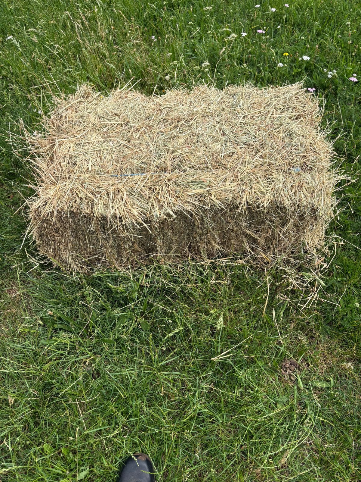 Hooi, Dieren en Toebehoren, Dierenvoeding, Ophalen, Vee