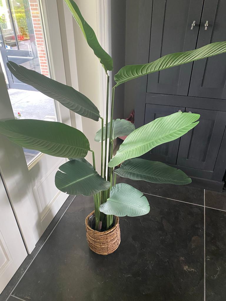 Grote kunst bananenplant 145 cm - Zonder buitenpot, Binnen, Groen, Kunstplant, Nieuw