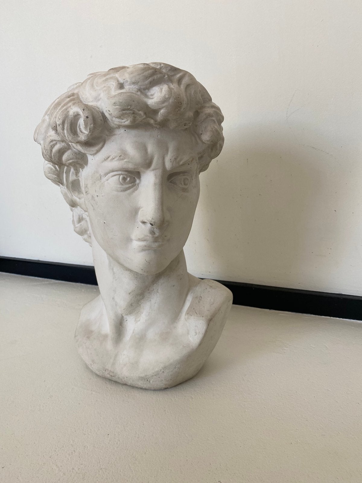 David Michelangelo buste, Ophalen