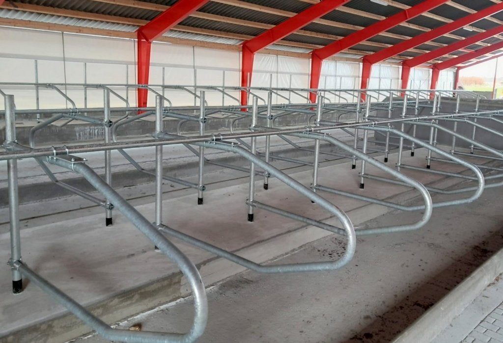 Golfschoftboom / ligboxen; jongvee & grootvee, Dieren en Toebehoren