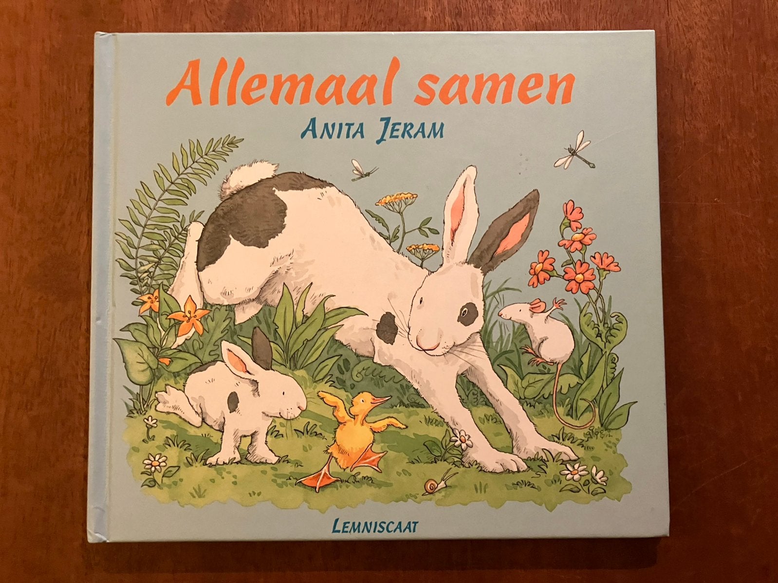 Lemniscaat Allemaal samen Anita Jeram, Boeken, Ophalen of Verzenden, Zo goed als nieuw