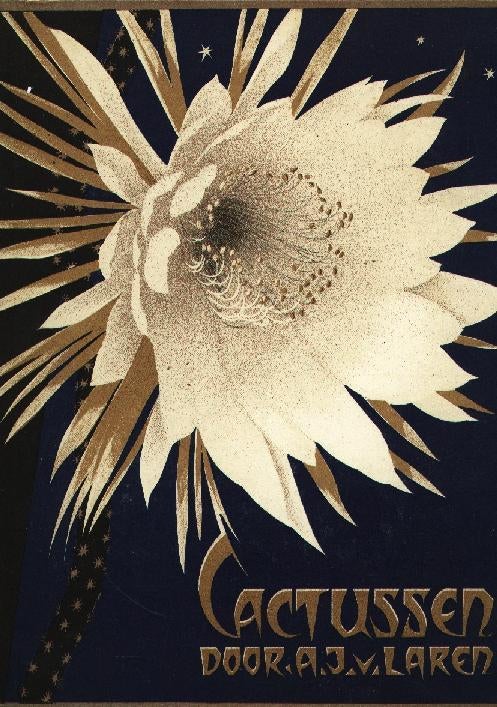 Cactussen - A J van Laren, Boeken, Prentenboeken en Plaatjesalbums, Verzenden, Gelezen, A J van Laren, Plaatjesalbum