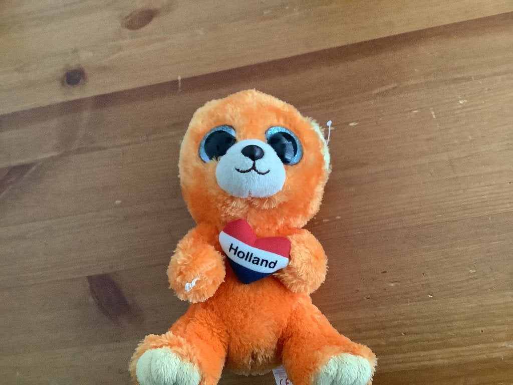 Ty Beany Boo knuffel 2013 holland oranje beer. zelldzaam, Ophalen of Verzenden, Gebruikt