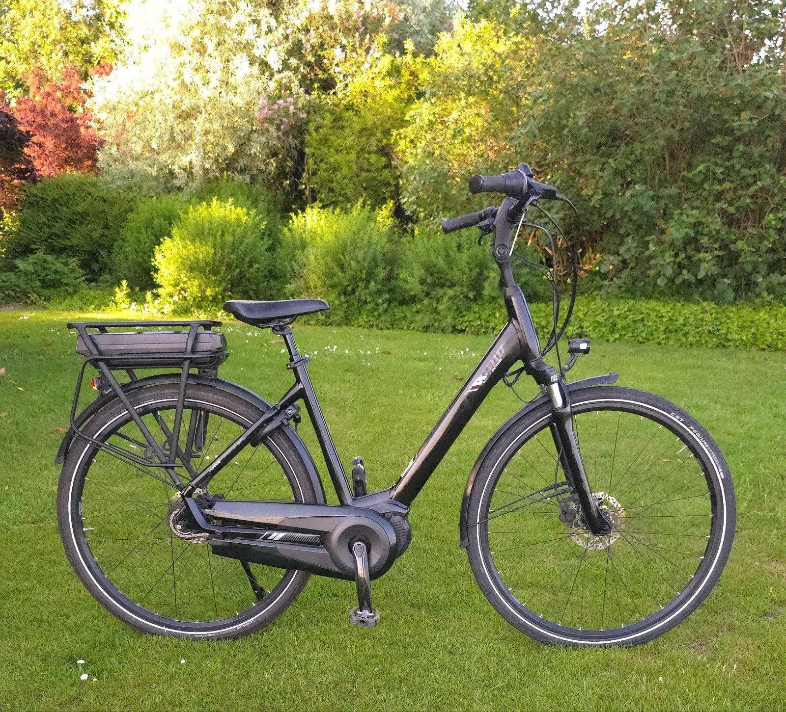 E-bike Giant Entour E+ / 2023 / 3367 km, Fietsen en Brommers, Gebruikt, 51 tot 55 cm, 50 km per accu of meer, Ophalen