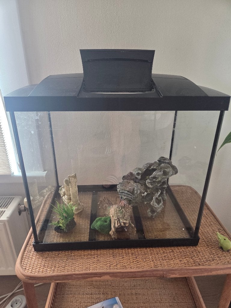 Aquarium met accessoires, Ophalen, Verwarming, Zo goed als nieuw, Overige typen