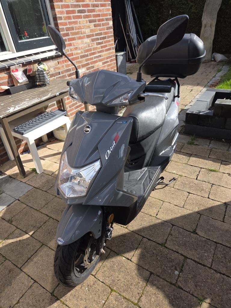 SYM Orbit III – Betrouwbaar, onderhoud aantoonbaar, Ophalen, Gebruikt, Overige merken