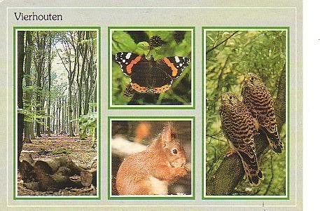 Ansichtkaart 	Vierhouten	4-luik	Natuur, Verzenden, 1980 tot heden, Gelopen, Gelderland