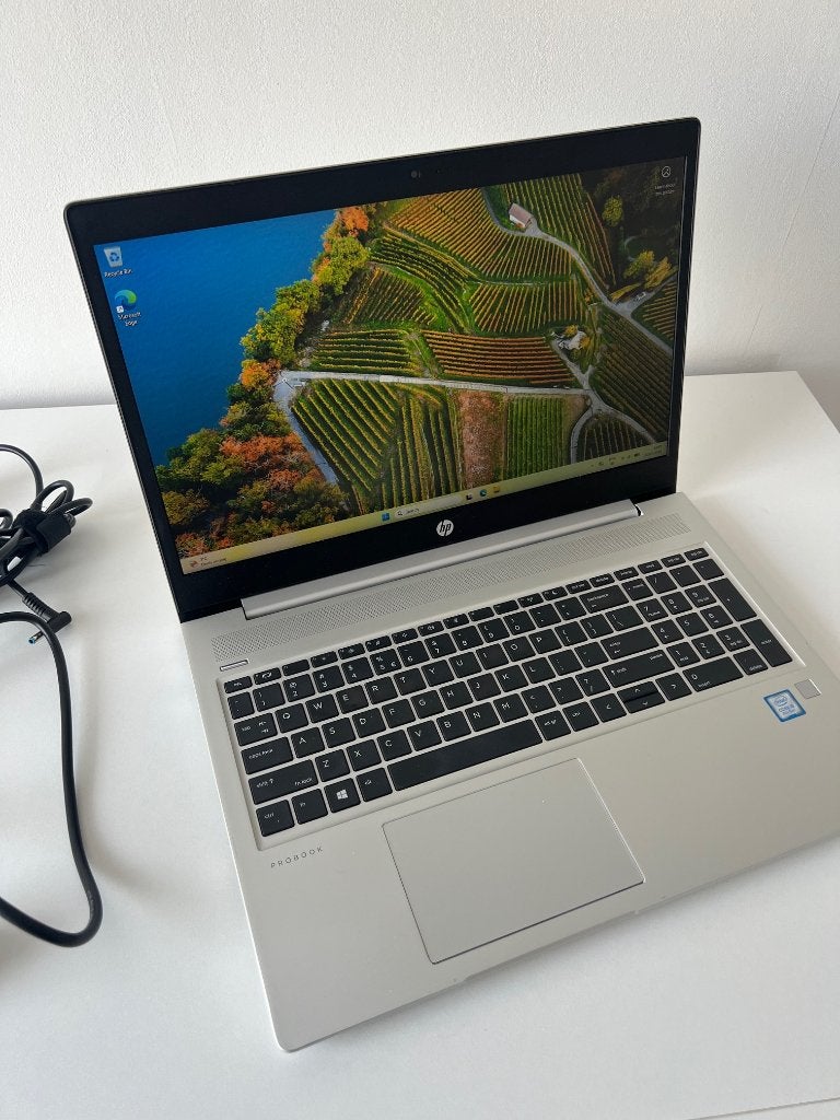 HP ProBook 450 G6 – i5 – 8GB RAM – 240 GB SSD Windows 11 Pro, Computers en Software, Windows Laptops, 2 tot 3 Ghz, 8 GB, Ophalen of Verzenden