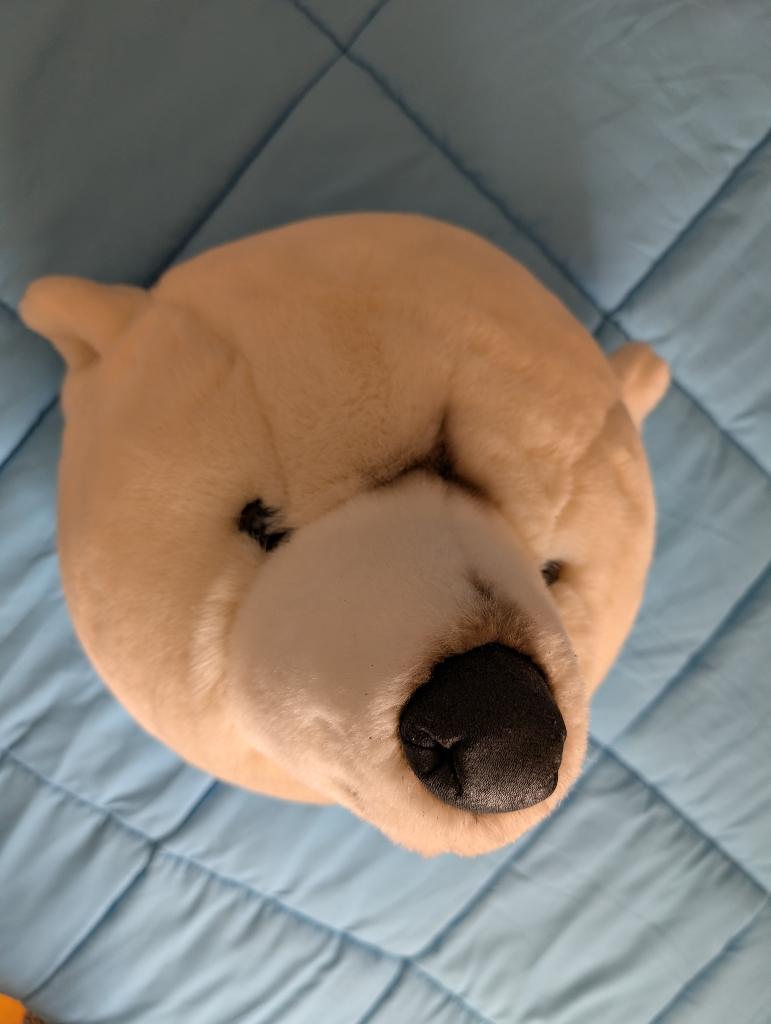 super mooie ijsberen kop soft, Ophalen of Verzenden, Zo goed als nieuw, Wit, Decoratieobject