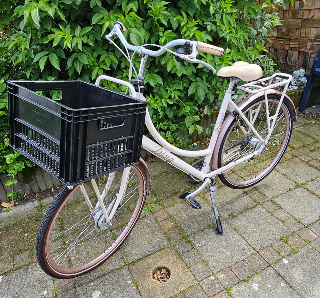 Mooie Batavus Diva, 56 cm of meer, Ophalen, Gebruikt, Versnellingen